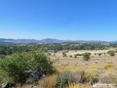 Pinares a la sombra de Peña Quemada; Jerga de montañismo Argot de montaña Términos de montaña diccio